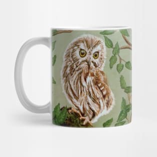 Northern Saw-whet Owl Mug